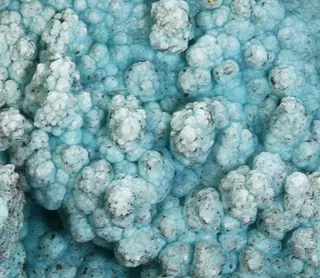 Glaucocerinite-476344.jpg
