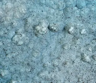Glaucocerinite-476345.jpg