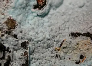 Alumohydrocalcite-92158.jpg