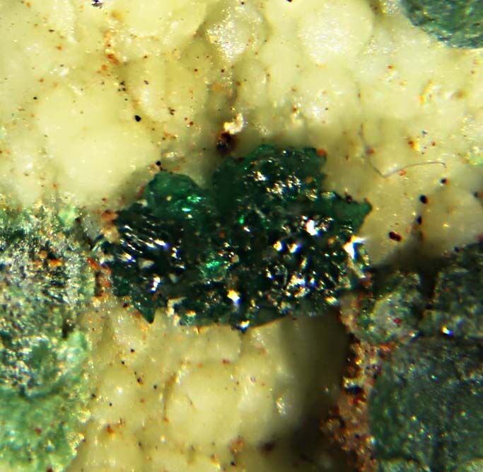 Paratacamite-(Ni)