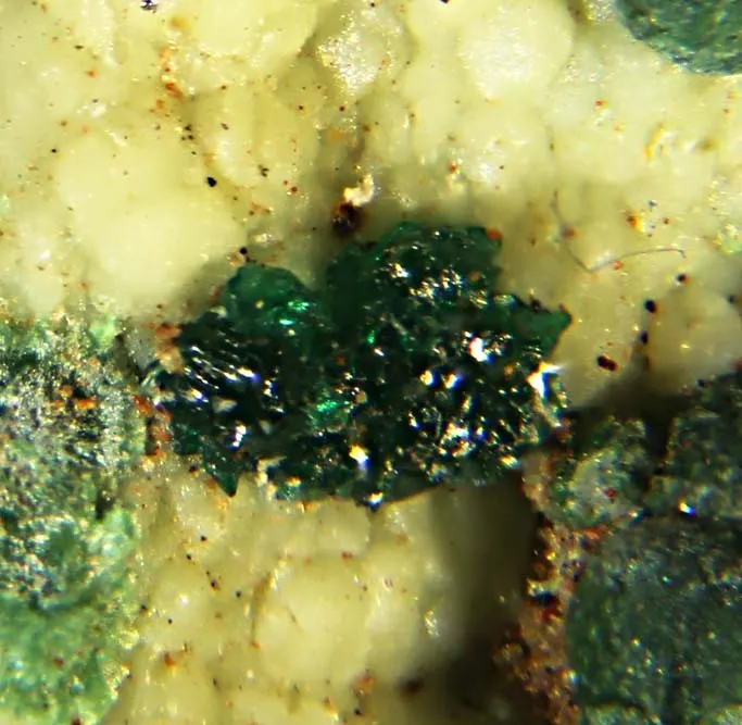 Paratacamite-(Ni).jpg