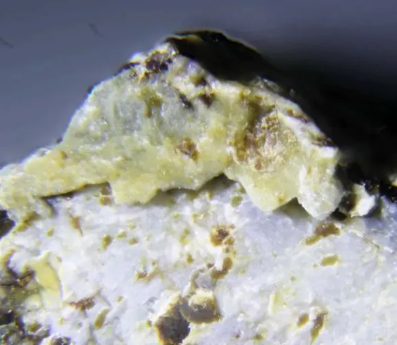 Para-alumohydrocalcite.jpg