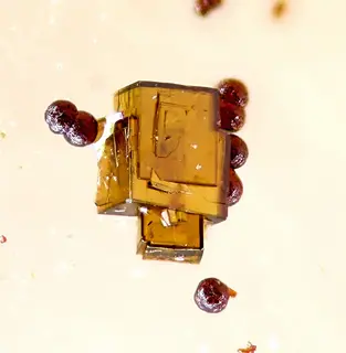 Segnitite-Lepidocrocite-170219.jpg