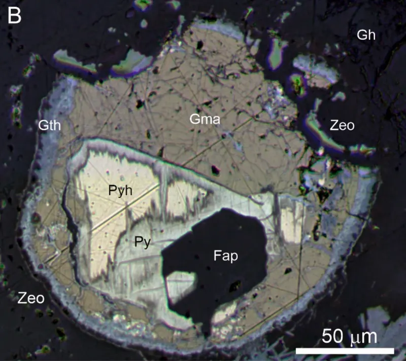 Holotype specimen of gmalimite (b).png