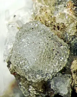Phillipsite-K-170869.jpg