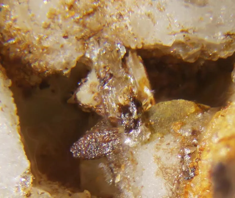 Goedkenite & Palermoite.jpg