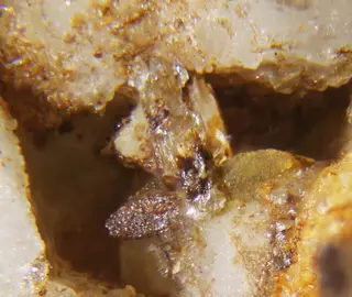Goedkenite & Palermoite.jpg