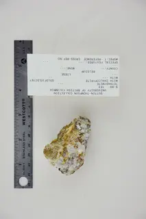 Tetradymite with Chalcopyrite and Goldfieldite (31984128057).jpg