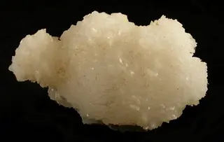Goosecreekite-230606.jpg