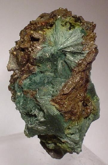 Gormanite