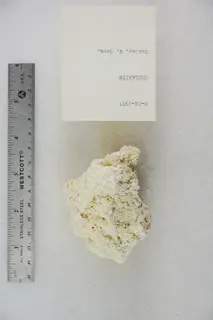 Goslarite (48140157528).jpg