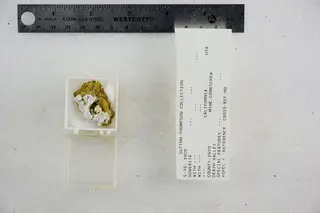 Gowerite (48522682977).jpg