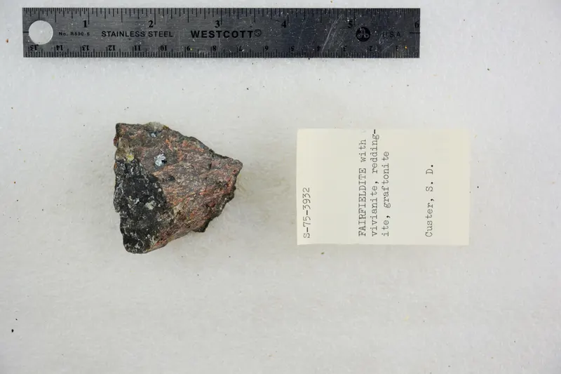 Fairfieldite with Vivianite, Reddingite, and Graftonite (48522676017).jpg