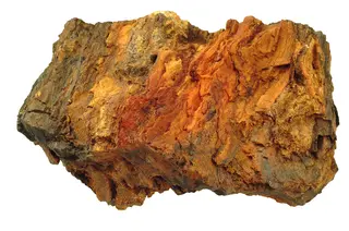 Banded limonite-hematite and greenalite Rock (GeoDIL number - 1311).jpg