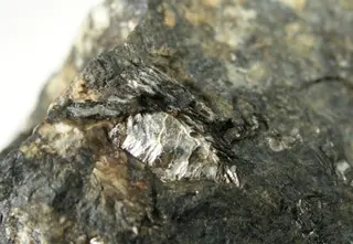 Griphite-328662.jpg