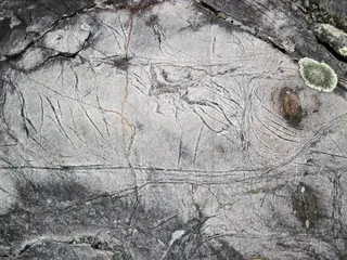 Chrysotile asbestos veins in serpentinized komatiite (Upper Komatiitic Unit, Kidd-Munro Assemblage, Neoarchean, 2.711-2.717 Ga; southwest of the Potter Mine, east of Timmins, Ontario, Canada) 7 (47098435004).jpg