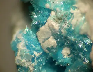 Guanacoite-120482.jpg