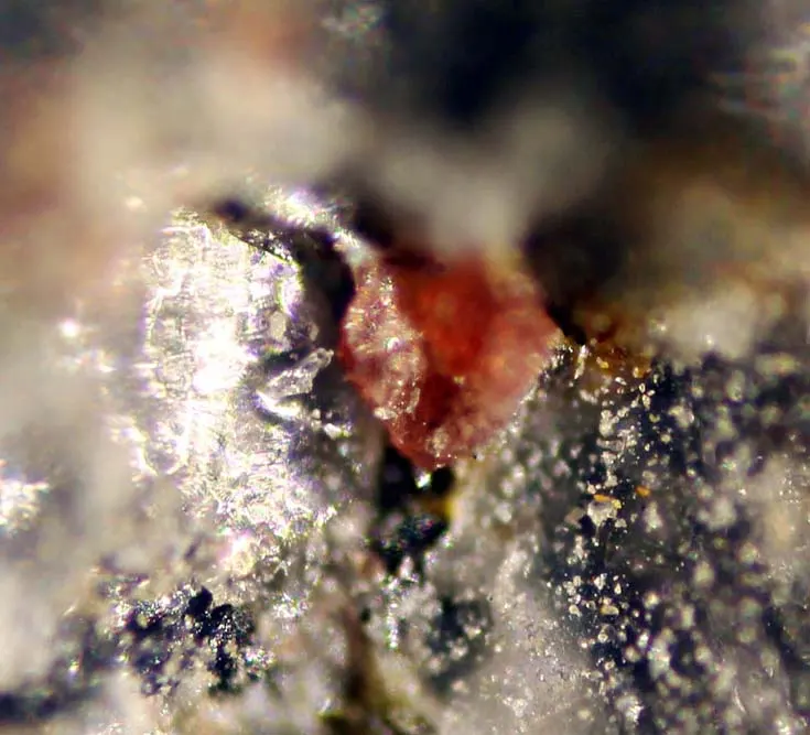 Guarinoite.jpg