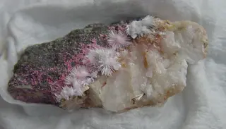 Picropharmacolite.jpg