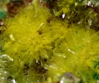Guilleminite-452104.jpg