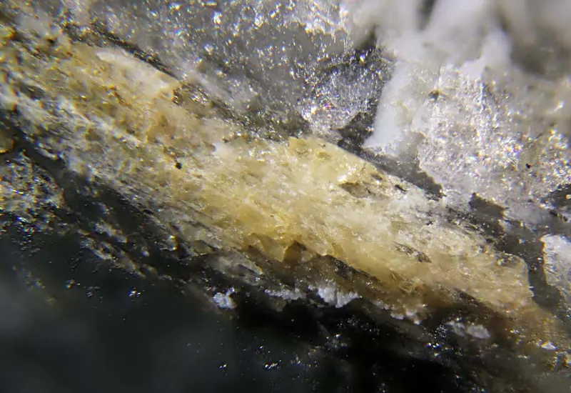 Hainite-(Y).jpg
