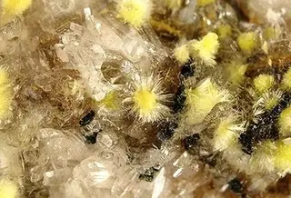 Haiweeite-171831.jpg