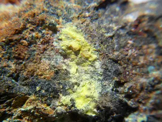 Haiweeite 01.JPG