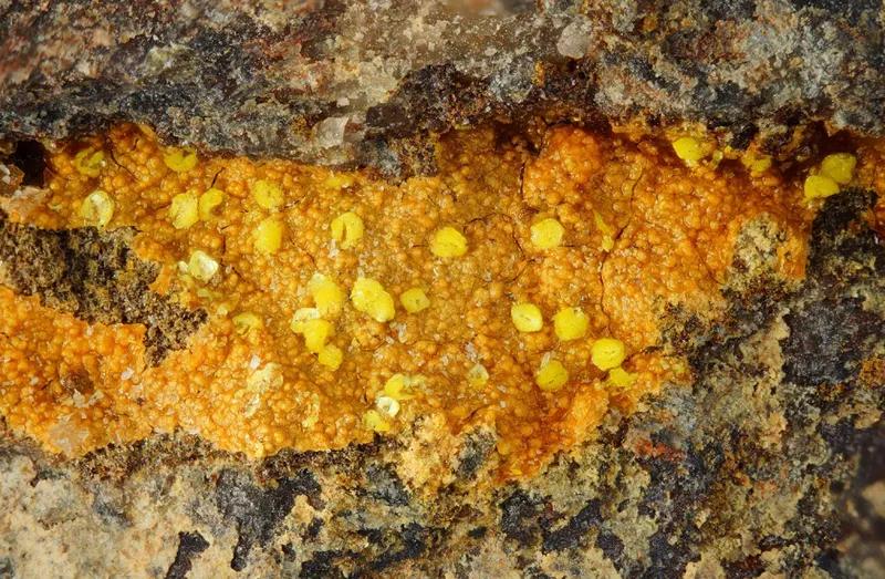 Halilsarpite.jpg