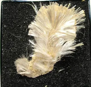 Halotrichite-179634.jpg