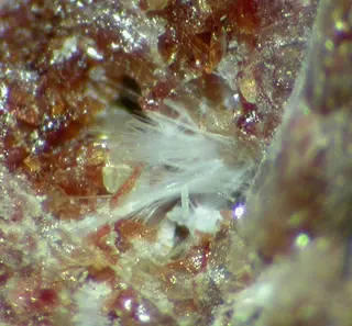 Xonotlite, Hancockite-303477.jpg