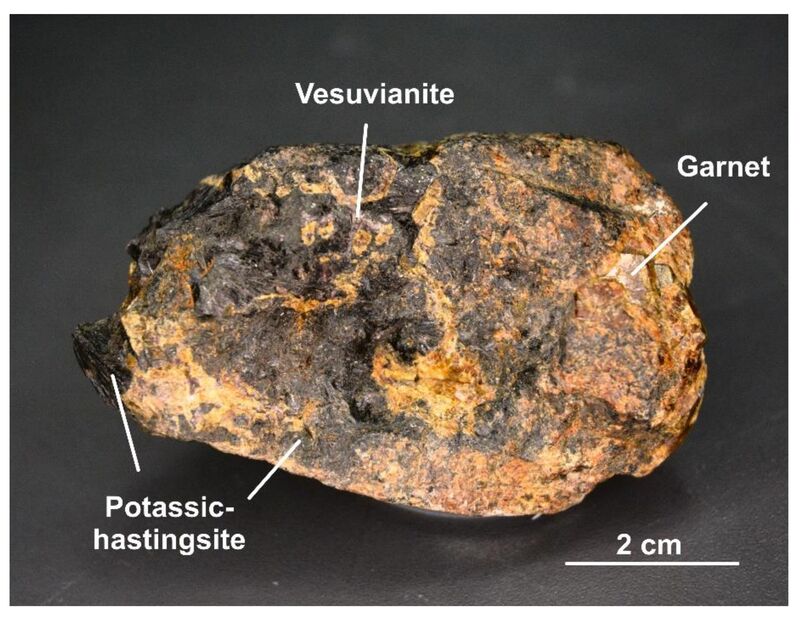 Potassic-hastingsite