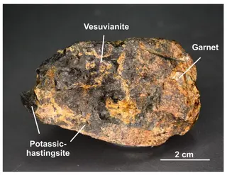 Potassic-hastingsite skarn sample.png
