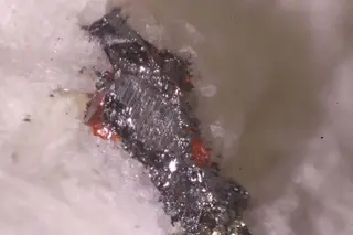 Hatchite.jpg