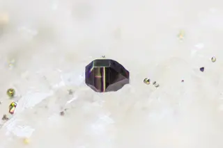 Hatchite3592.jpg