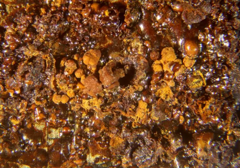 Haxonite.jpg