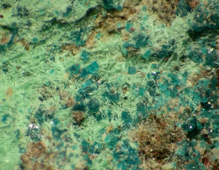 Haydeeite-120484.jpg