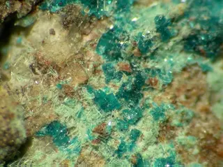 Haydeeite-120485.jpg