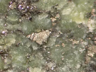Heazlewoodite-386276.jpg