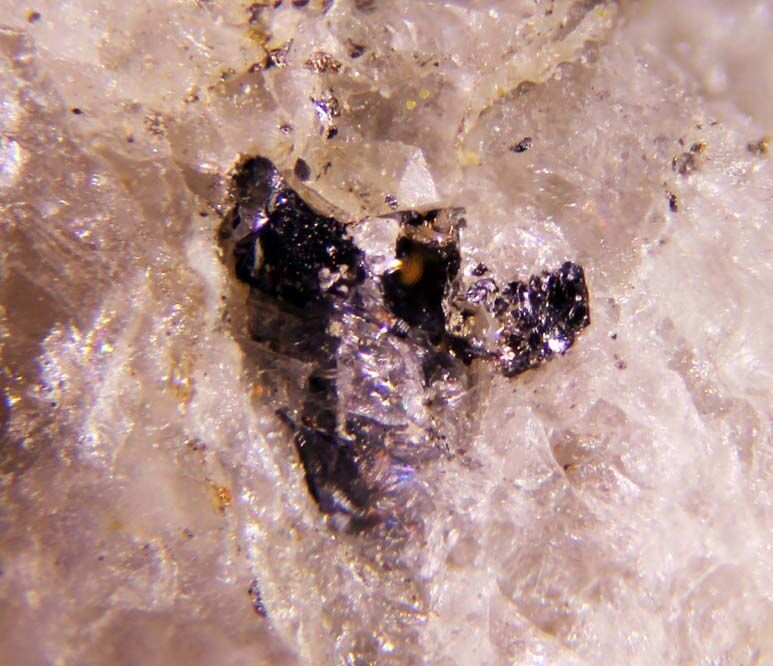 Hedleyite