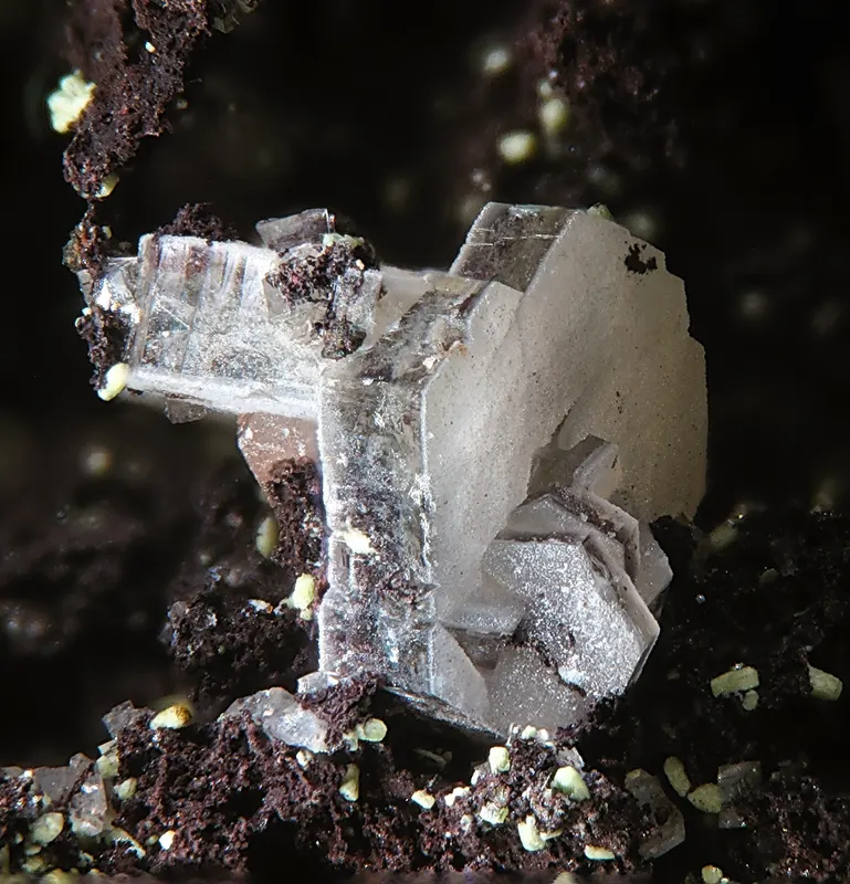 Hedyphane-719079.jpg