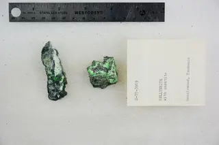 Hellyerite with Zaratite (48522679807).jpg