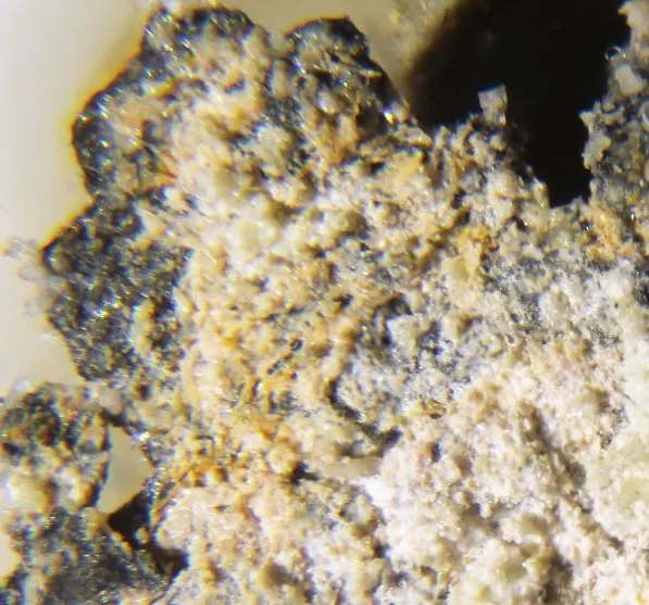 Hematophanite.jpg