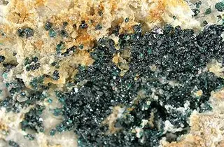 Herbertsmithite-herb03c.jpg