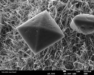 Hydrohetaerolite.jpg