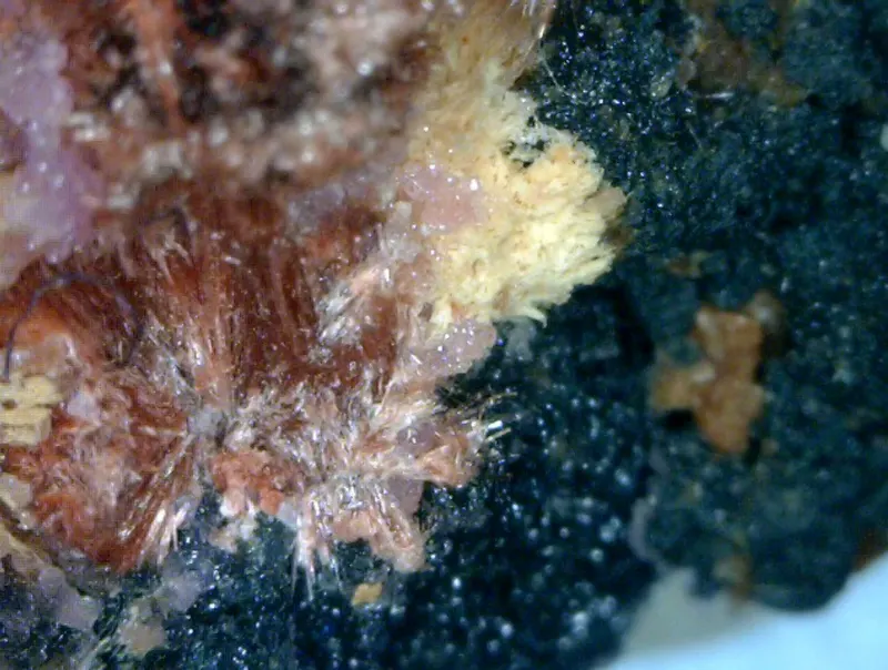 Smolyaninovite, Mansfieldite, Erythrite, Heterogenite-624241.png