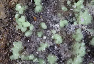 Schröckingerite, Hexahydrite, Gypsum.jpg