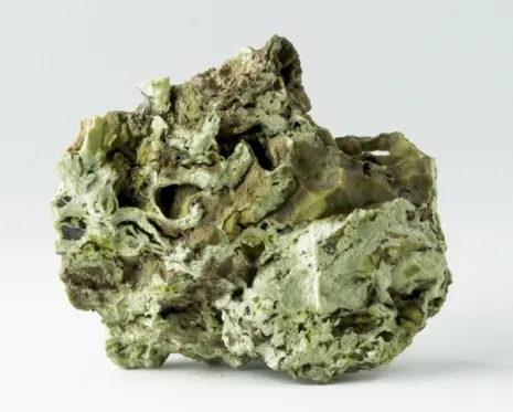 Hidalgoite-503442.jpg