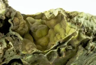 Hidalgoite-503444.jpg