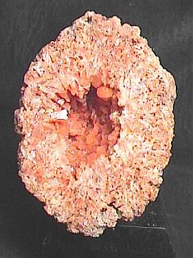 Hilgardite