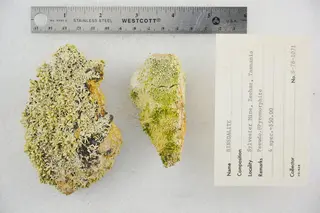 Hinsdalite (33937667408).jpg